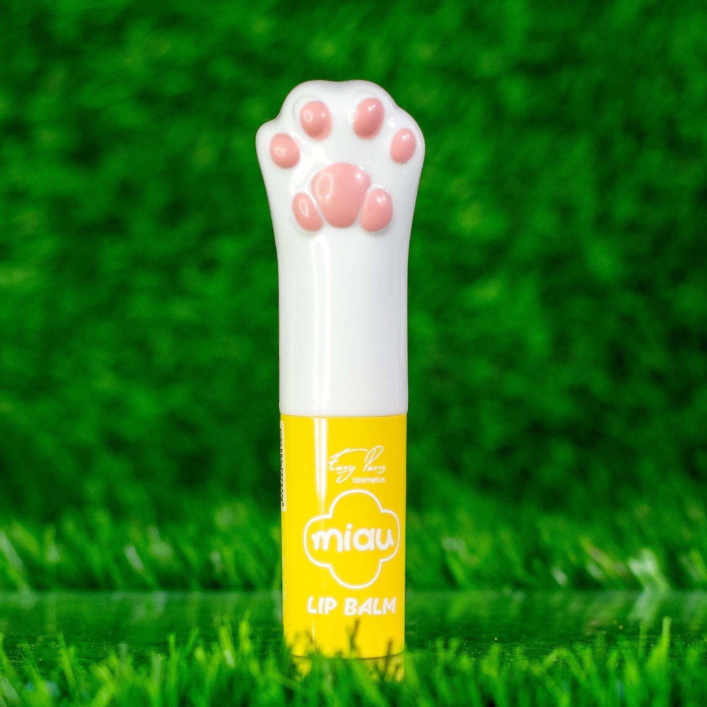 CACAO PATITA DE GATO