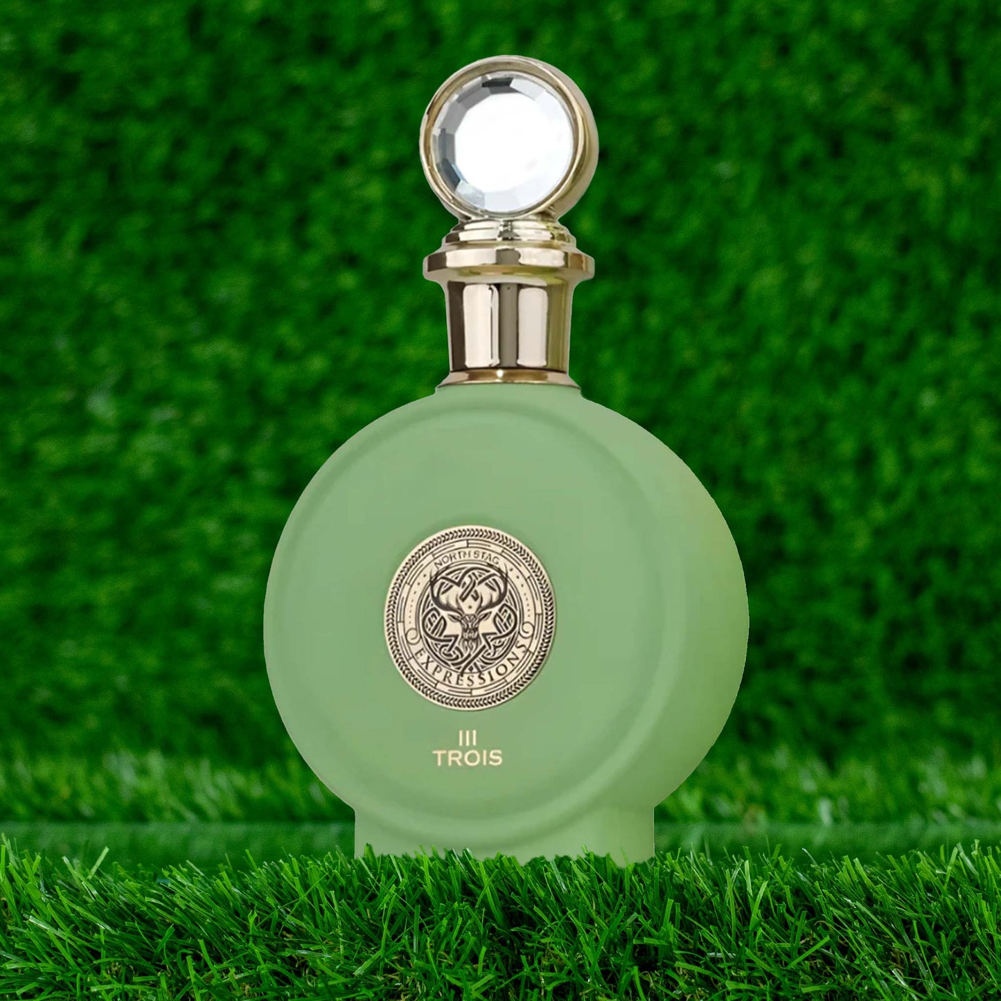 NORTH STAG EXPRESSIONS III TROIS