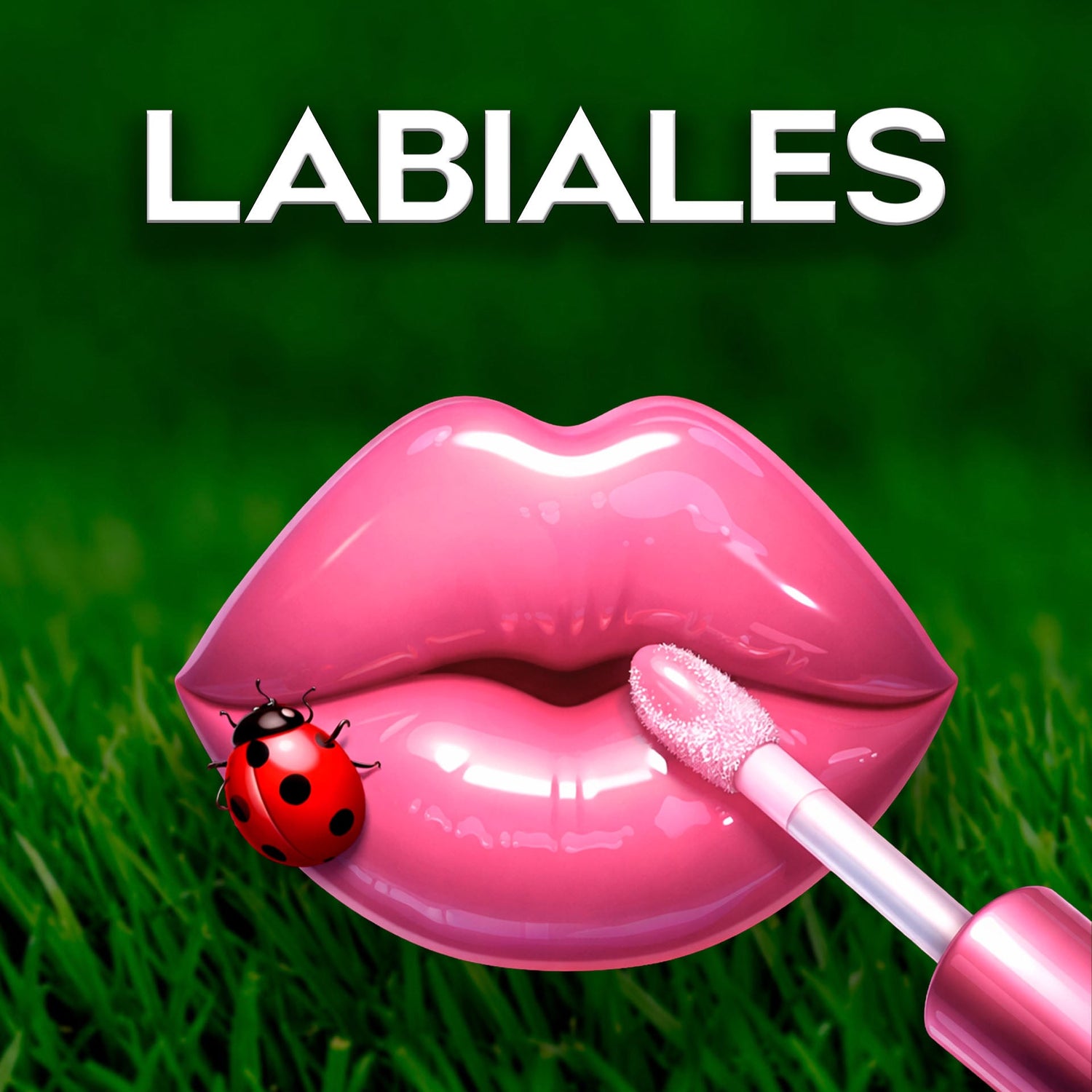LABIALES