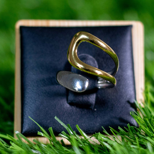 ANILLO DUAL