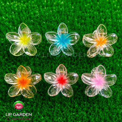 DISCOVERY BOX LIP GARDEN – 10 PRODUCTOS BEAUTY