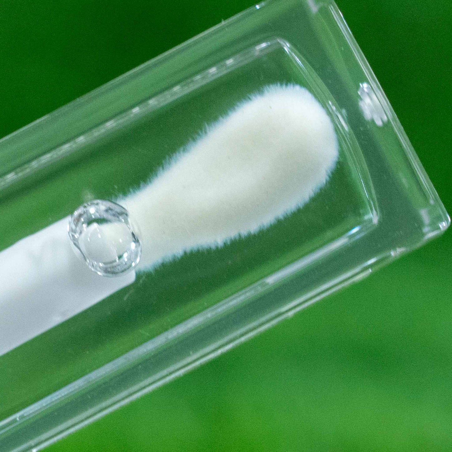 LIP GLOW OIL