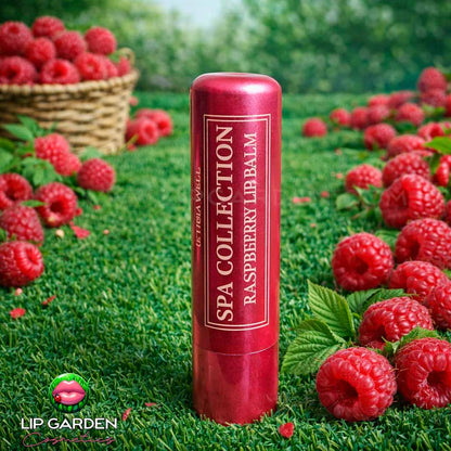 BÁLSAMO DE LABIOS - COLECCIÓN SPA - EN BARRITA CON 11 AROMAS