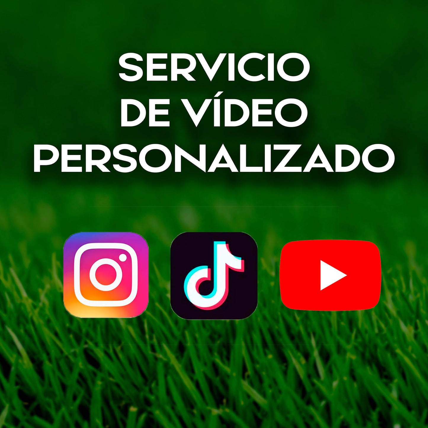 SERVICIO DE VÍDEO PERSONALIZADO