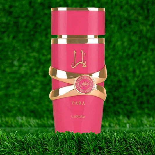 MUESTRA YARA CANDY