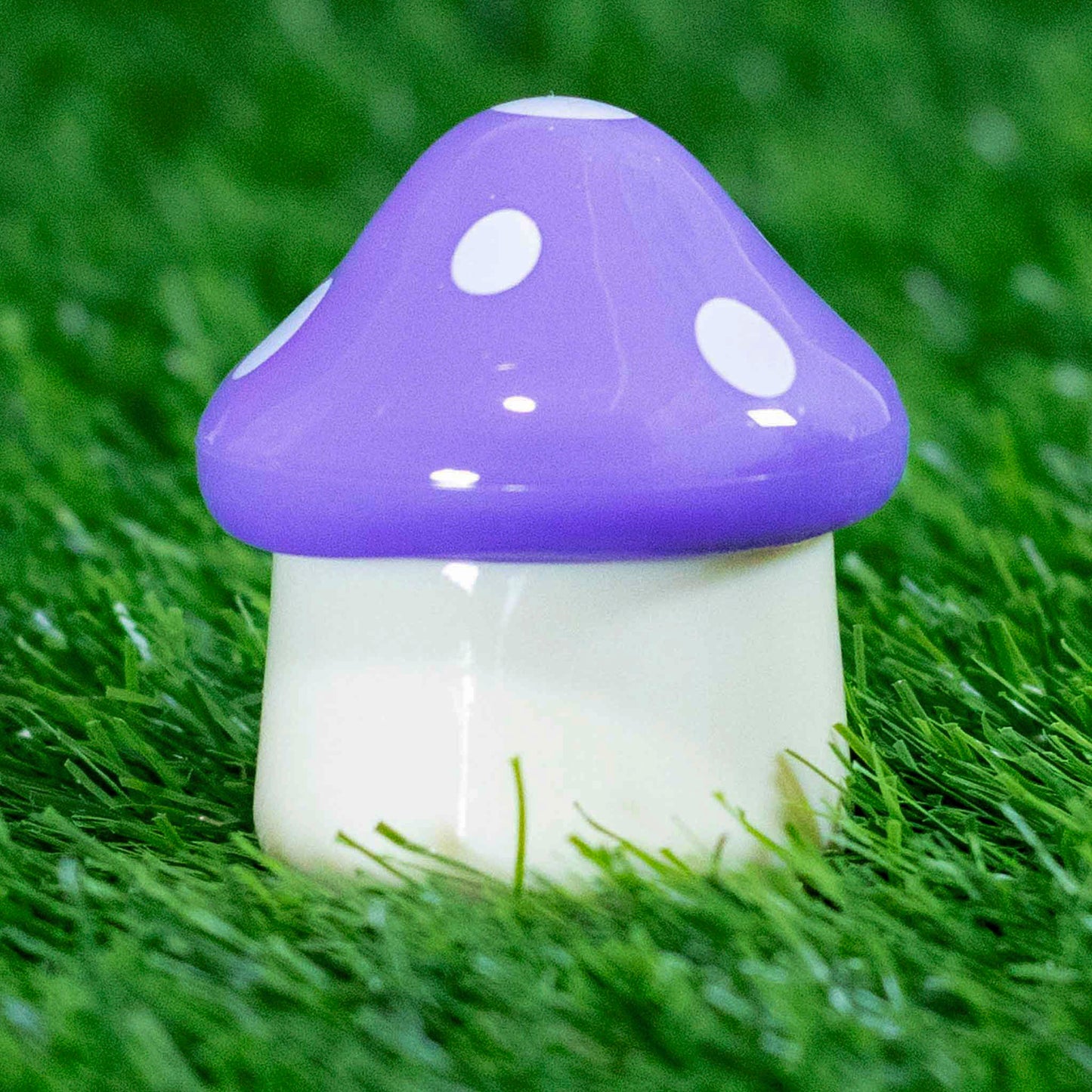 SETAS BÁLSAMO 🍄