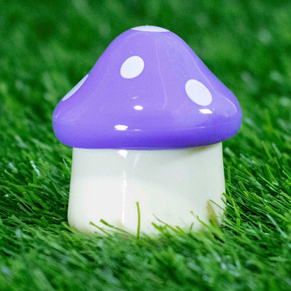 SETAS BÁLSAMO 🍄